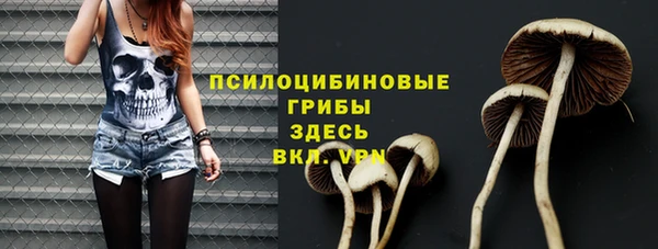 герыч Козельск