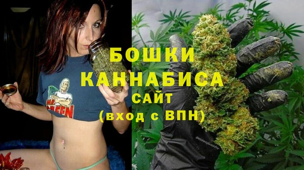 стафф Кодинск