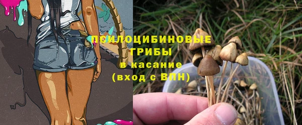 соль курить ск Козловка