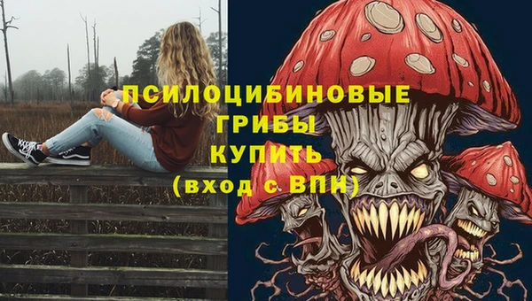 герыч Козельск