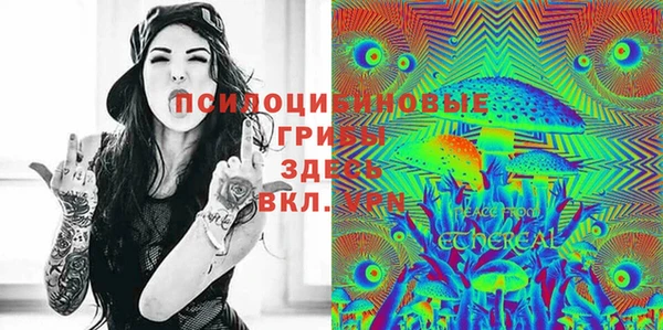 стафф Кодинск